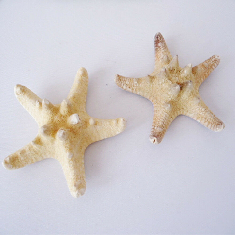 2pcs Aquarium Natural Starfish Sea Star Shells Landscape Making DIY Craft Decor
