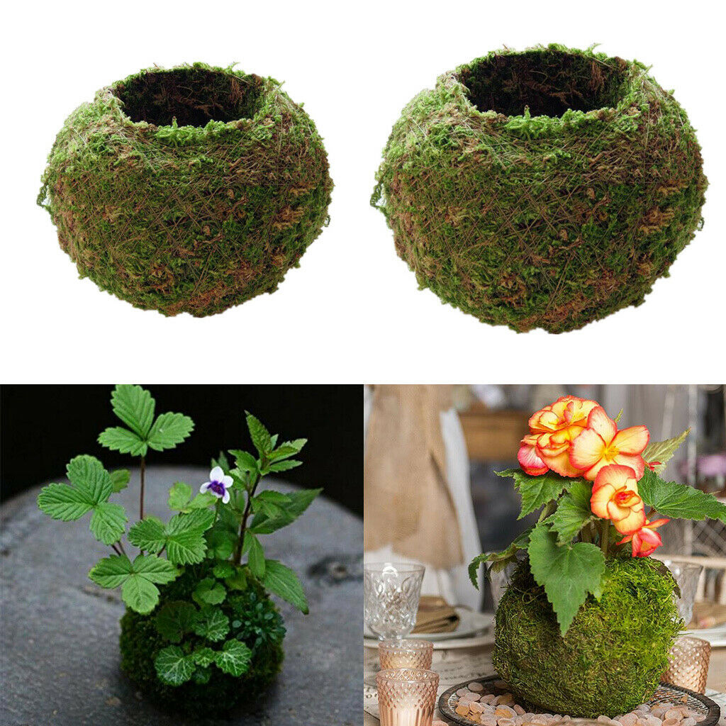 2pcs Naturally Green Moss Ball Flowerpot Plant Holder Garden Ornament Holiday