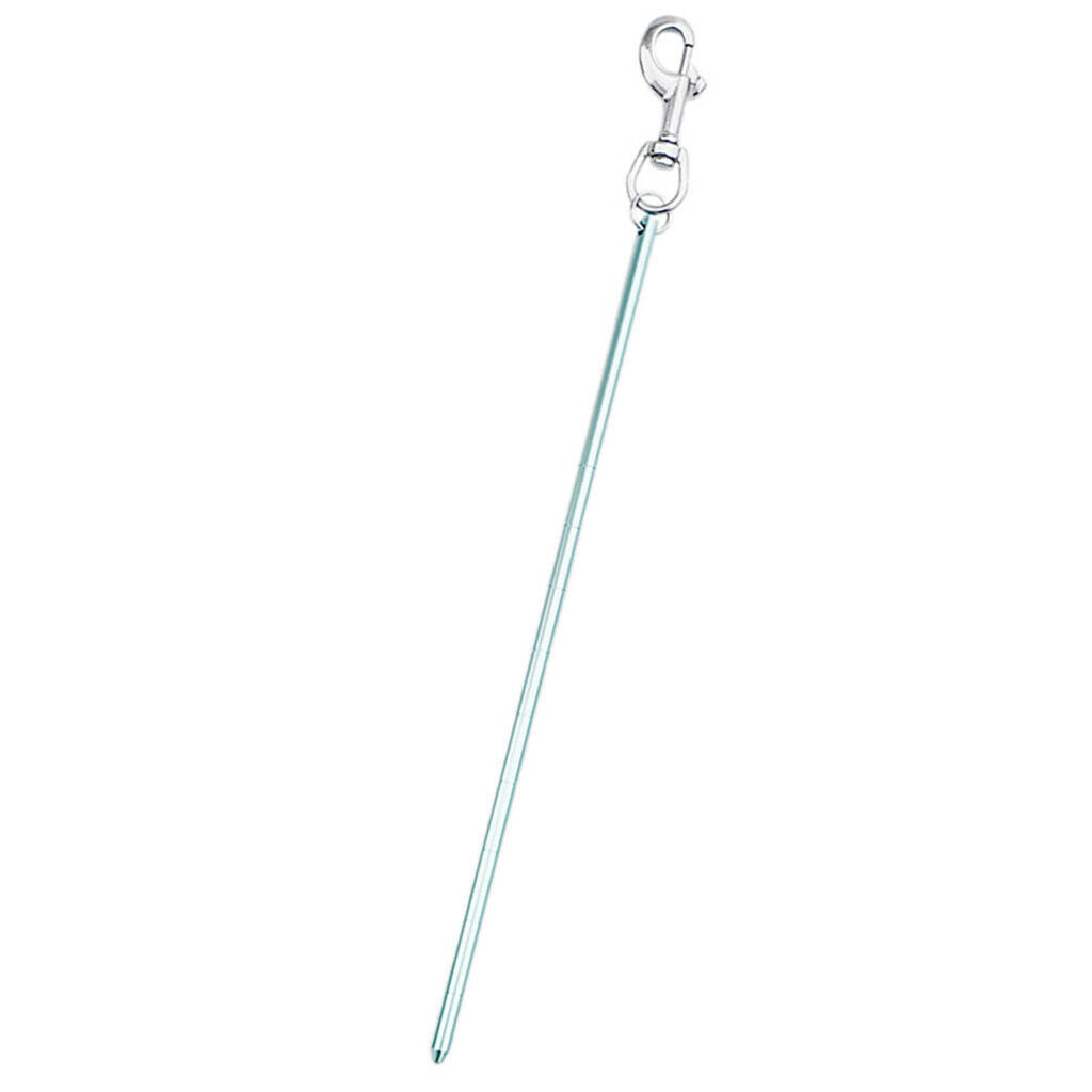 Scuba Diving Pointer with Bolt Snap green