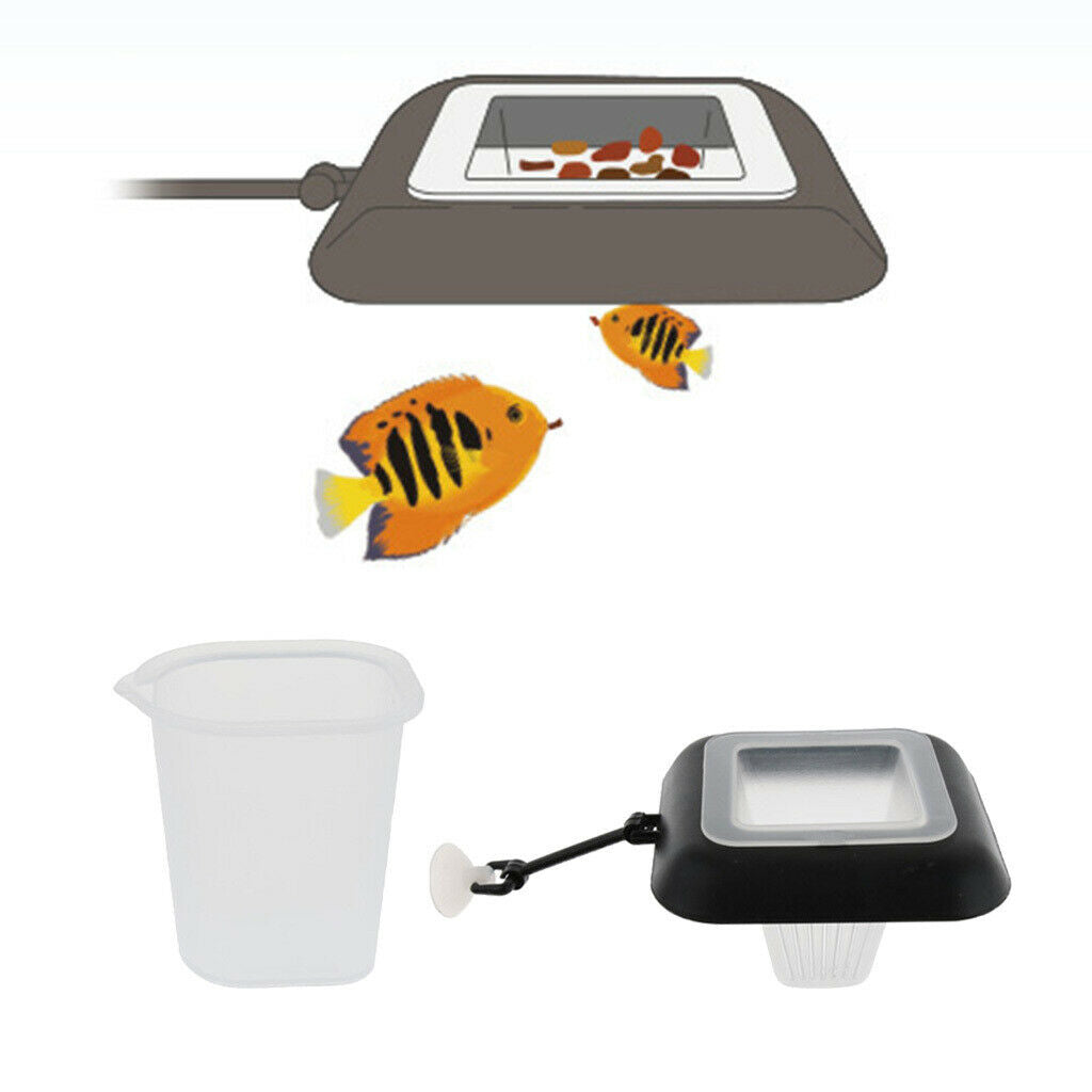 1 Set Aquarium Red Worm Feeder Feeding Buoyancy Feeding Circle for   Tank