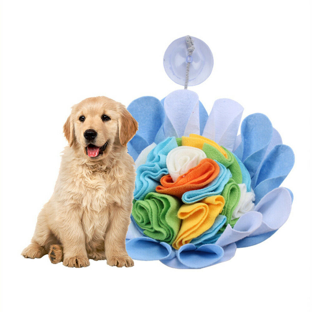 Dog Snuffle Bowl Encourages Natural Foraging Skills Training Pad w/Suction Cup