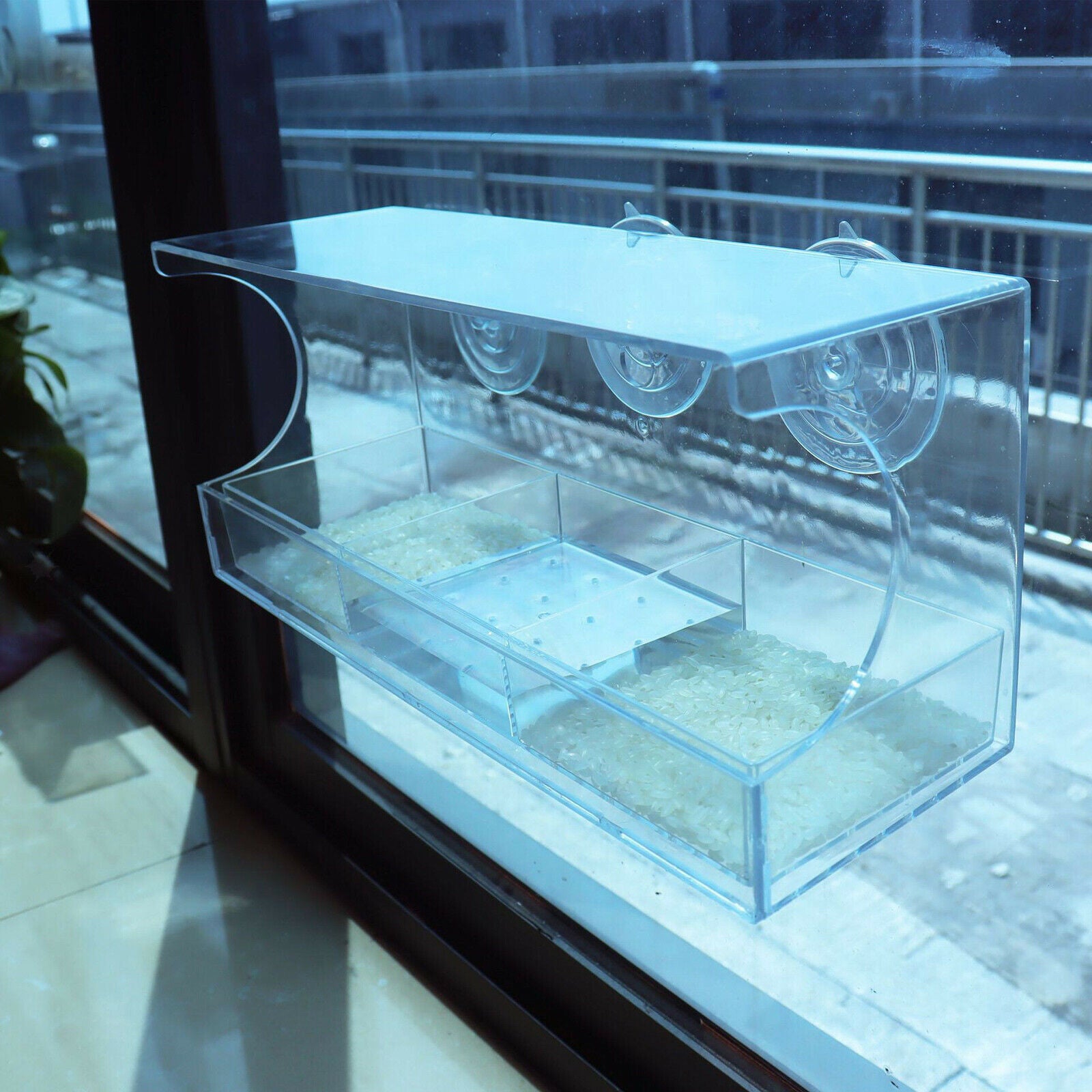 Window Bird Feeder Transparent Viewing Compact for Wild Birds Blue Bird