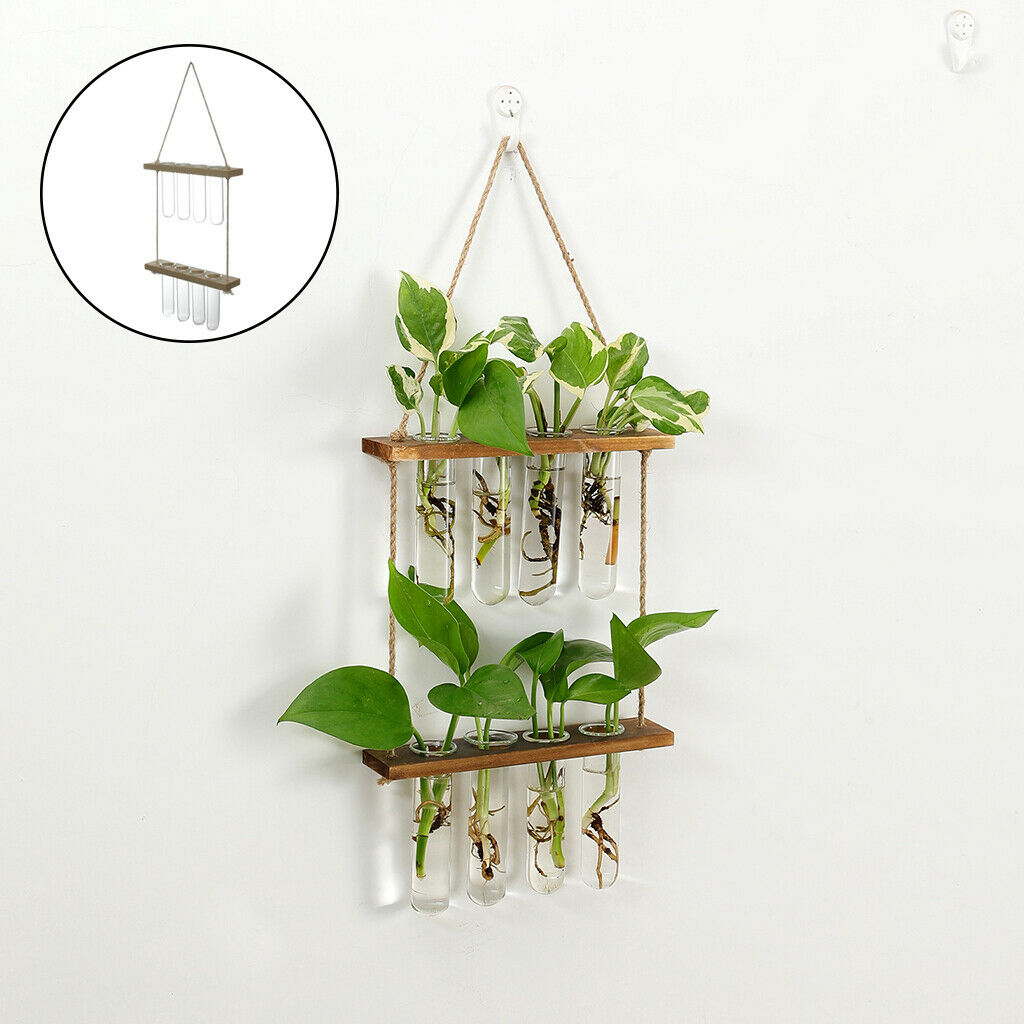 Hanging Hydroponic Terrarium Vase Glass Planter Propagator Office Bar Decor