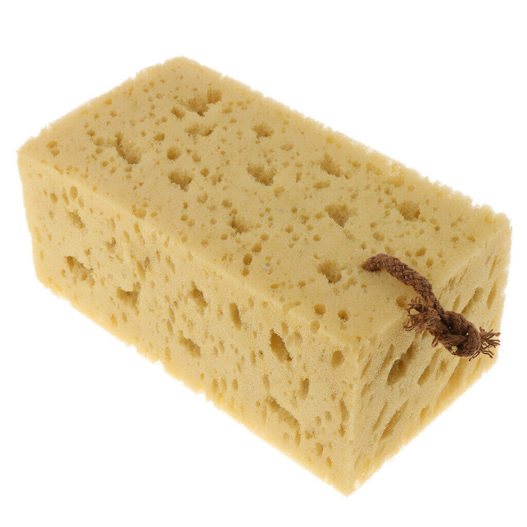 Macroporous Honeycomb Sponge Car Coral Cleaning Washing Spongnia