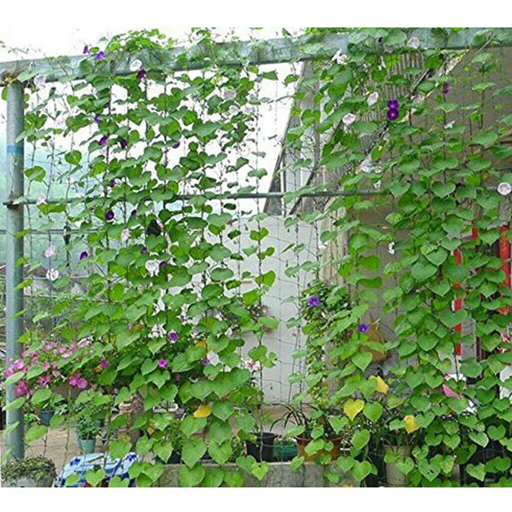 2-Pack Nylon Heavy-Duty Plant Trellis Netting Plant Support Vine Trellis Net
