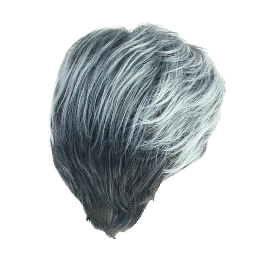 10'' Short Straight Men Grey White Side Part Synthetic Natural Looking with Wig