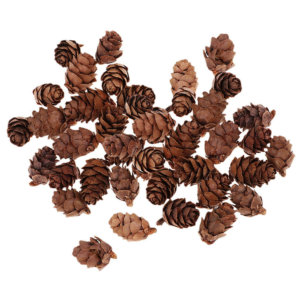 100x Decorative Pinecone Pine Cone Vase Bowl Filler Display Table Decoration
