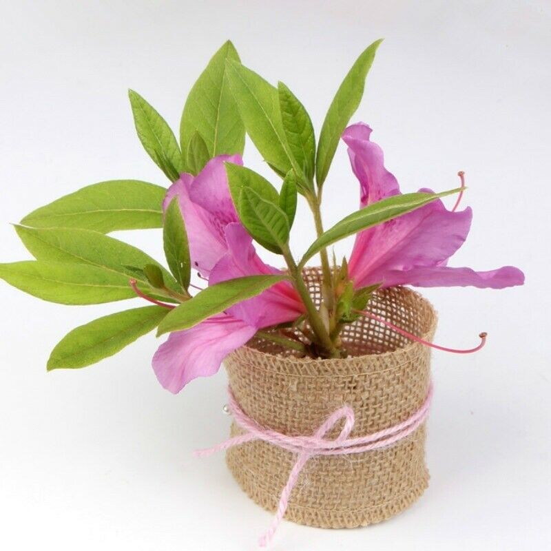 DIY Natural Raw Hessian Jute Edge Binding Burlap Fabric Trimming Ribbon Roll New