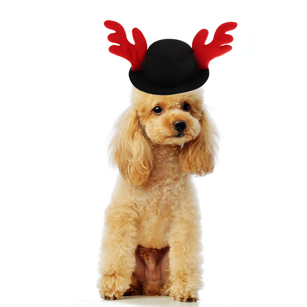 Pet Dog Puppy Cat Reindeer Antlers Hat Christmas Hat for Pets Winter Party