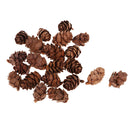 50x Small Real Natural Pine Cones for Christmas Holiday Ornament Decoration