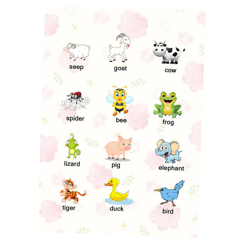 3Pcs Transport Animal &Weather Preschoolers Kids Early Learning Educational