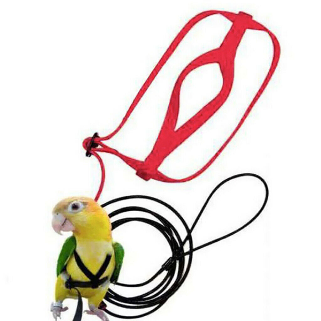 Bird Leash,Adjustable Pet Bird Parrot Cockatiel Harness Leash with Nappy Cloth