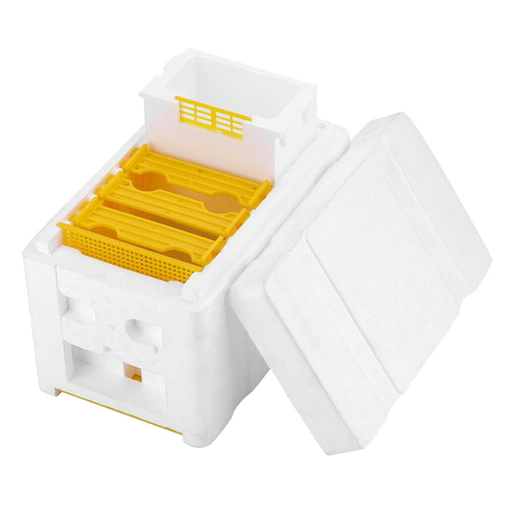 Bee Tail Box Bee Pollination Box Beehive King Box for Beekeeper Starter