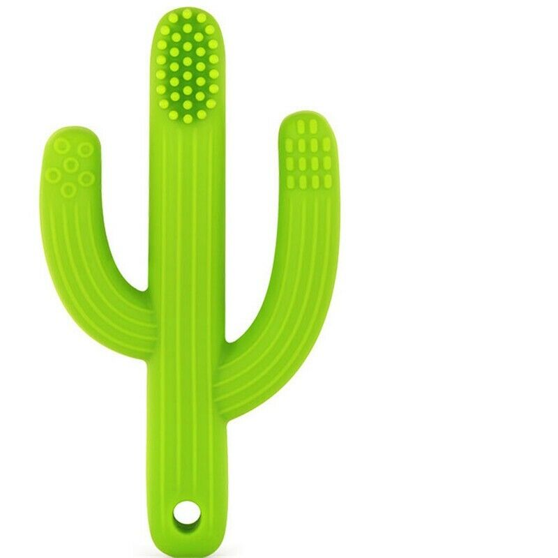 Biting Sensory Kid Baby Chewy Fiddle Autism Cactus Toys Chew Teething Colored