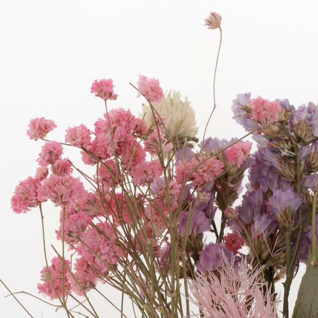 Natural Dried Flowers Leaves for Cards Making Jewelry Making Paper Art