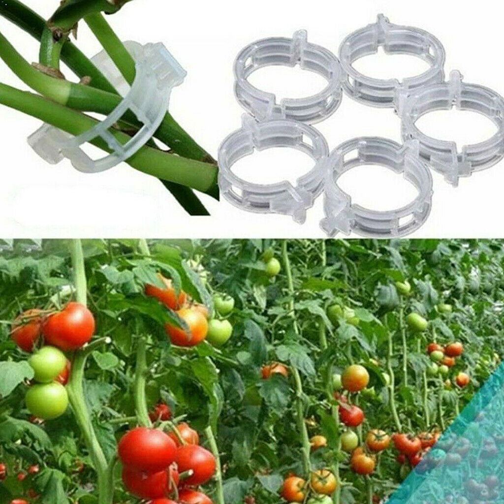 200x Plant Support Clips Tomato Trellis Grafting Clips Tomato Clamps Clips