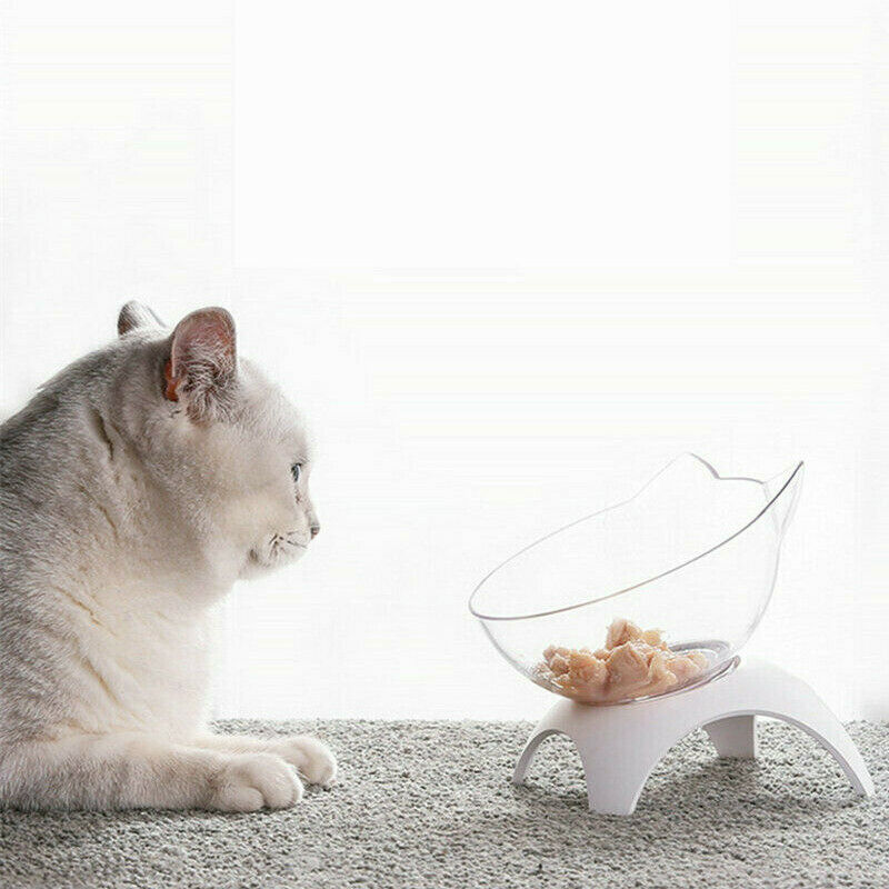 Non-slip 15°Tilted Cat Bowls w/Raised Stand Pet Food Water Bowl Cats Dog .l8