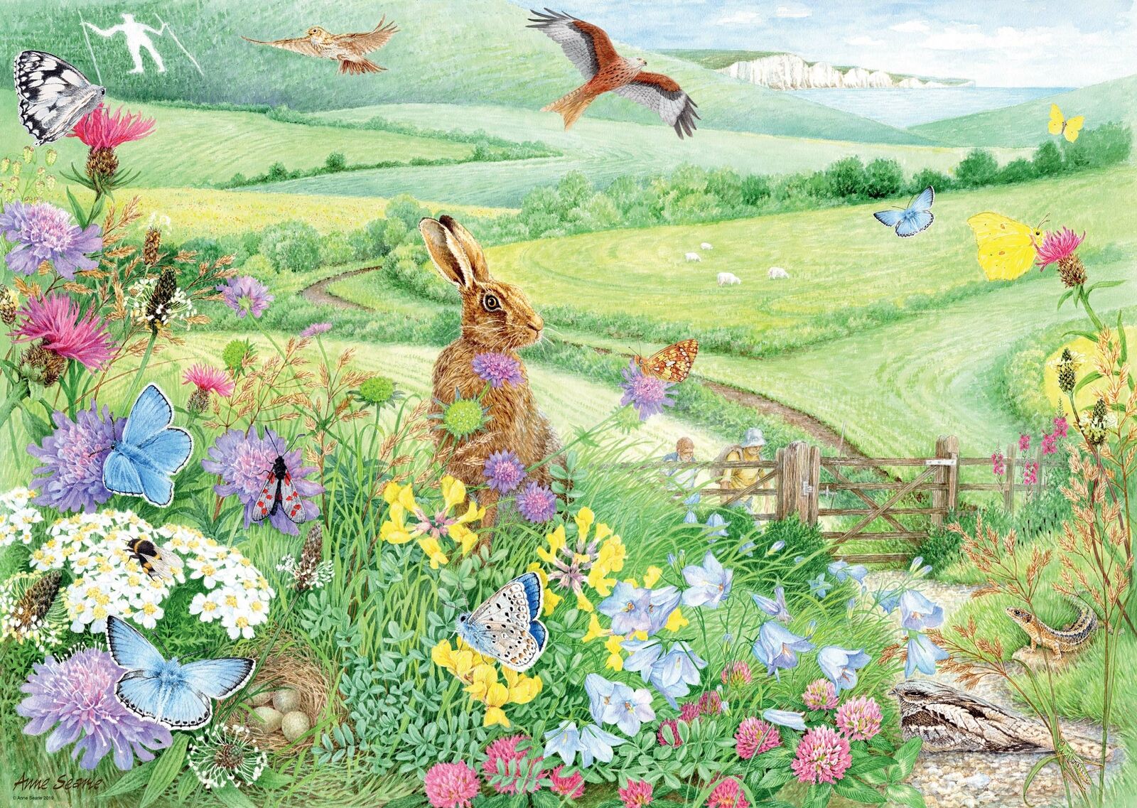 15176 Ravensburger Walking World - South Downs Jigsaw Puzzle 1000pc 12 Years+