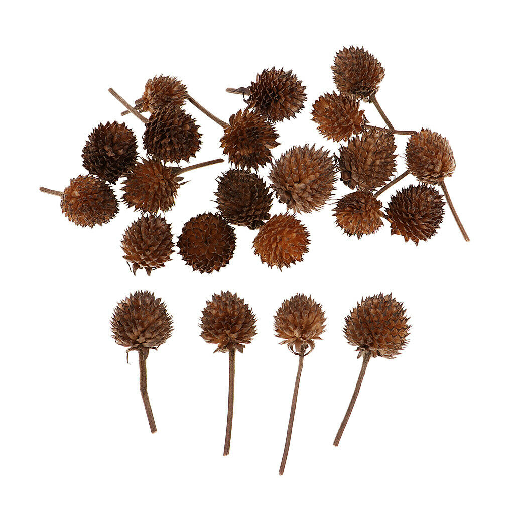 50 Pcs Natural Pressed Flowers Embellishment Hanging Pendant Decoration