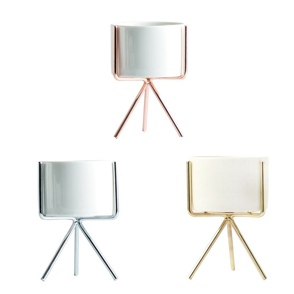 Set of 3 Succulent Planter Flower Pot Rack /f Office Living Room Studio
