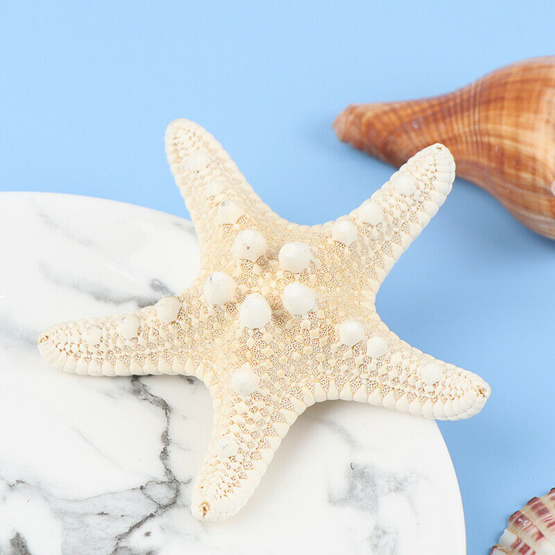 Starfish Crafts Decor Starfish DIY Shell Sea Fish Party Beige Starfish Decor Fx