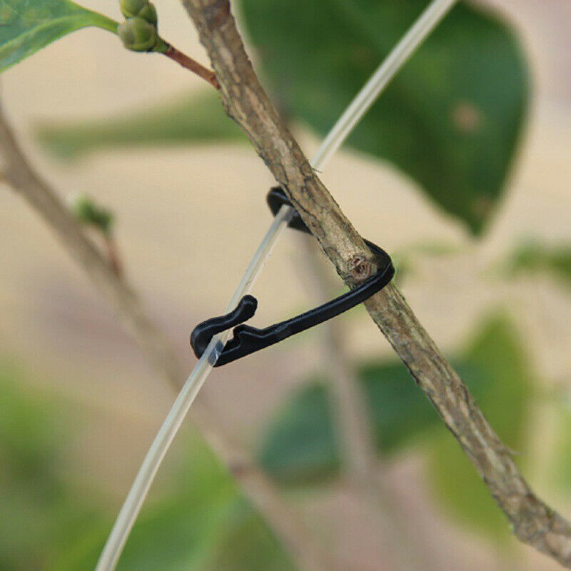 100pcs Plastic Plant Tomato Support Clip Hook Grapes Connects Vines Fastener SJ