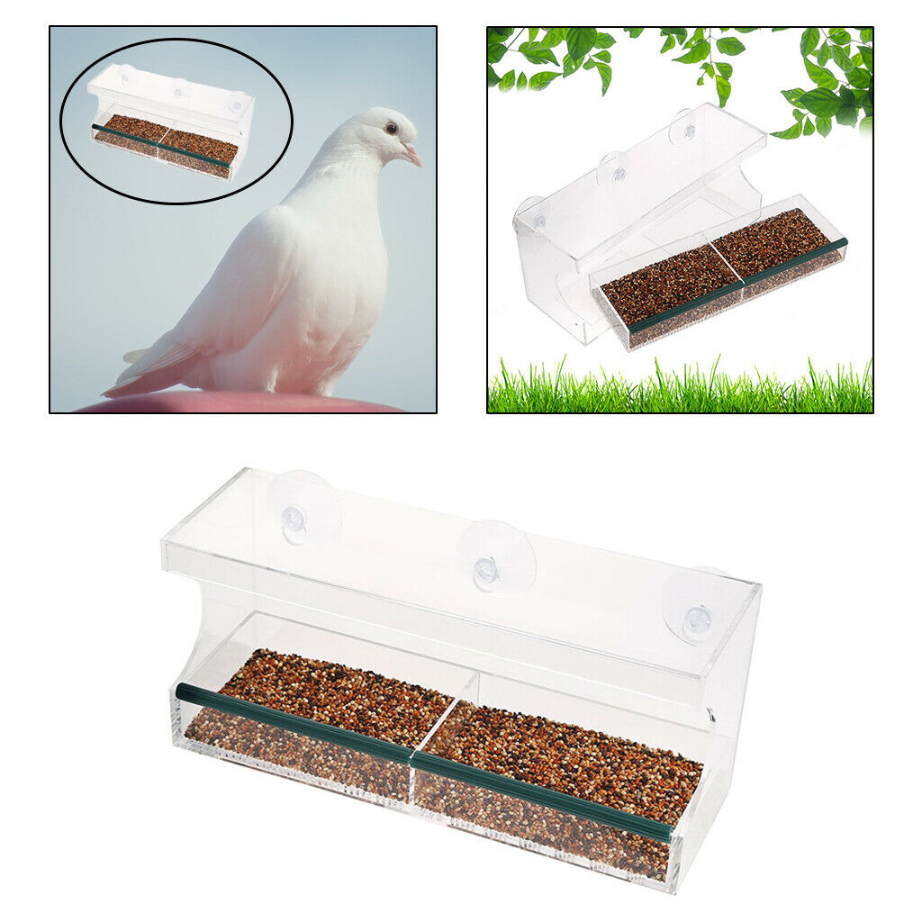 Hanging Window Bird Feeder Clear Wild Bird Feeder Outside View Up Close Bird