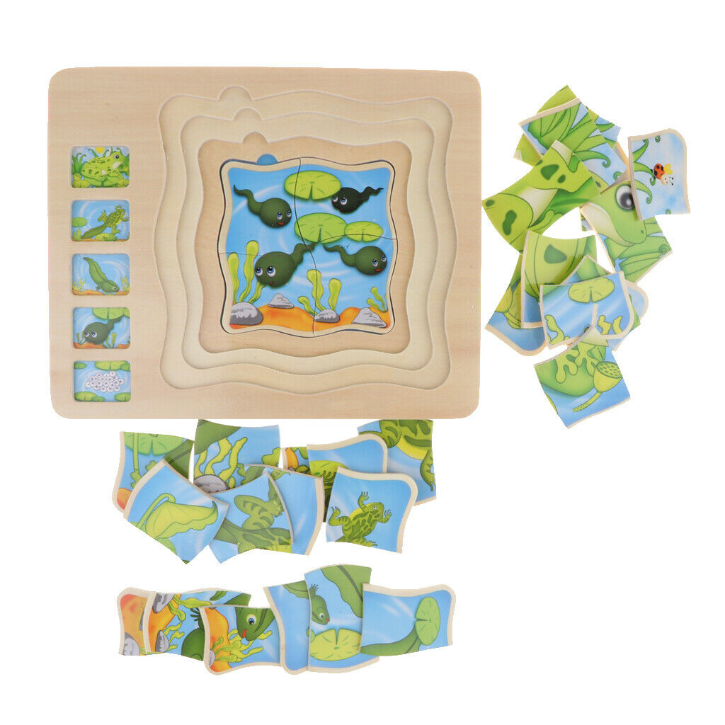 Frog Layer Puzzle, Wooden Stacking Puzzle, Children's Intelligence