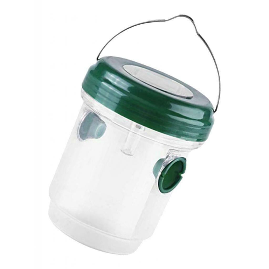 Non-toxic Wasp Trap Solar Power For Bee Wasp