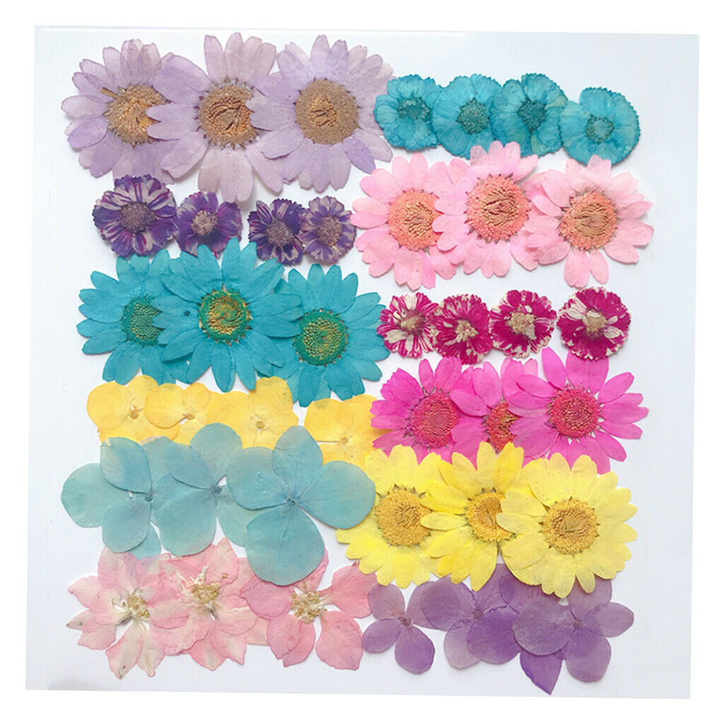 1Bag Assorted Natural Dried Flowers Embellishments Crafts Soap Card Making