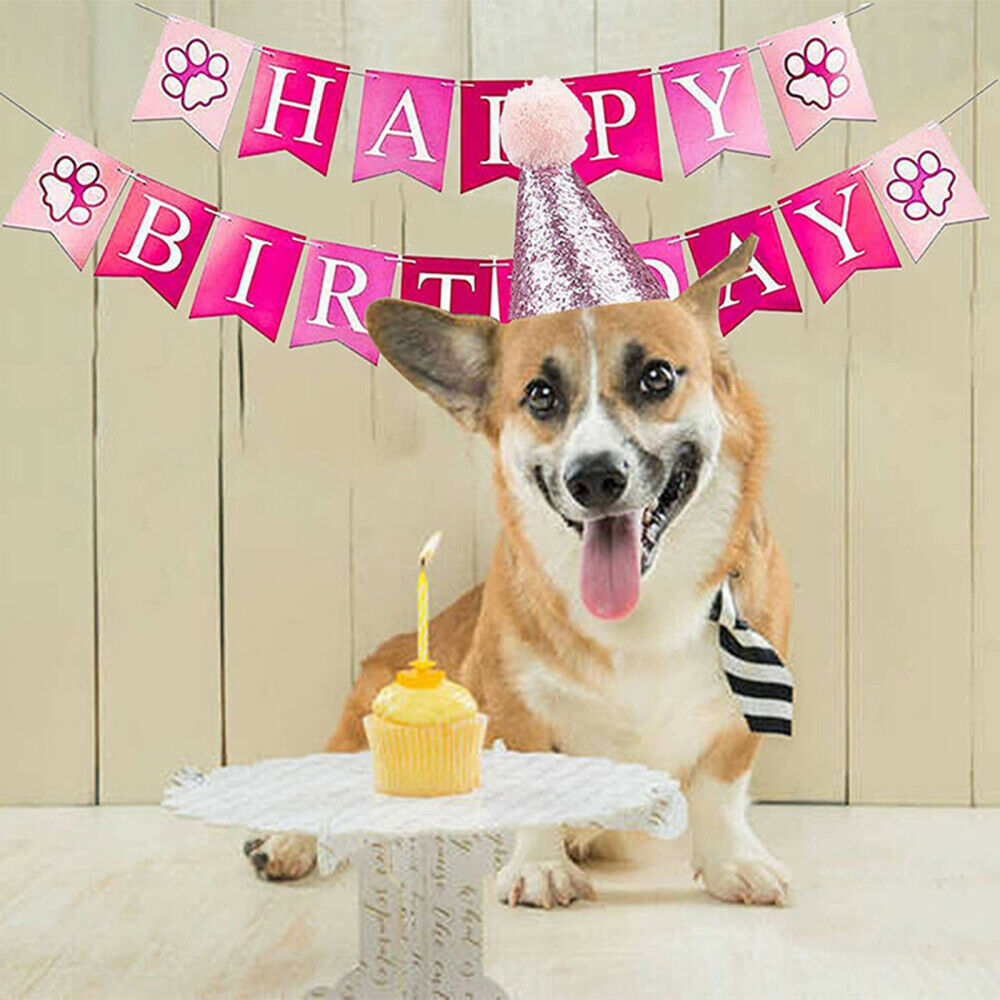 Pet Dog Happy Birthday Party Supplies Pink Themed Balloons Banner Hat Skirt