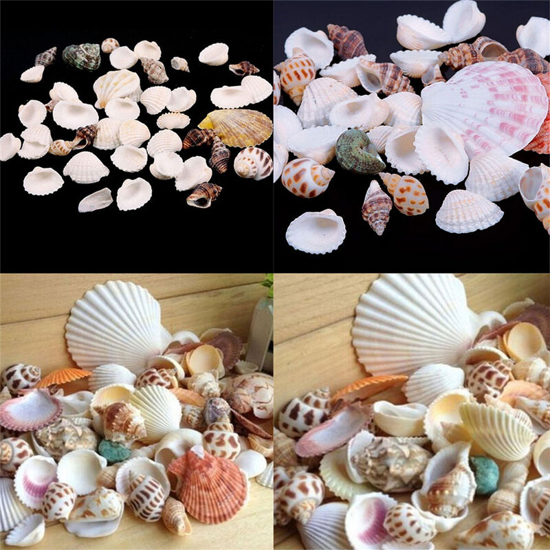 100g Beach Mixed SeaShells Mix Sea Shells Shell Craft SeaShells Aquarium .l8