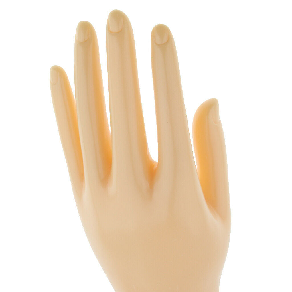 Left And Right Hands Display Gloves Jewelry Template for