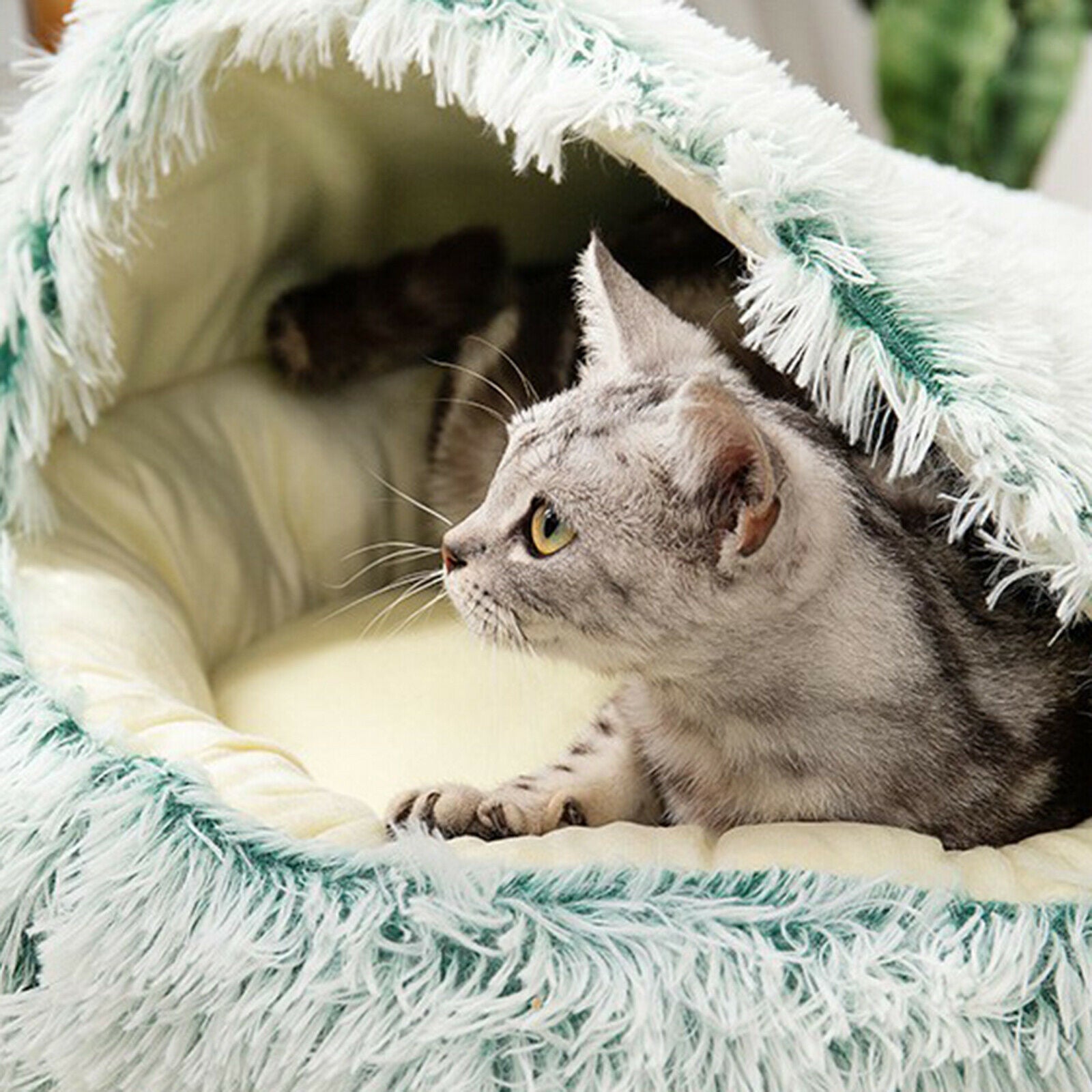 Round Plush Pet Dog Cat Bed Fluffy Warm Calming Sleeping Kennel 60cm Green