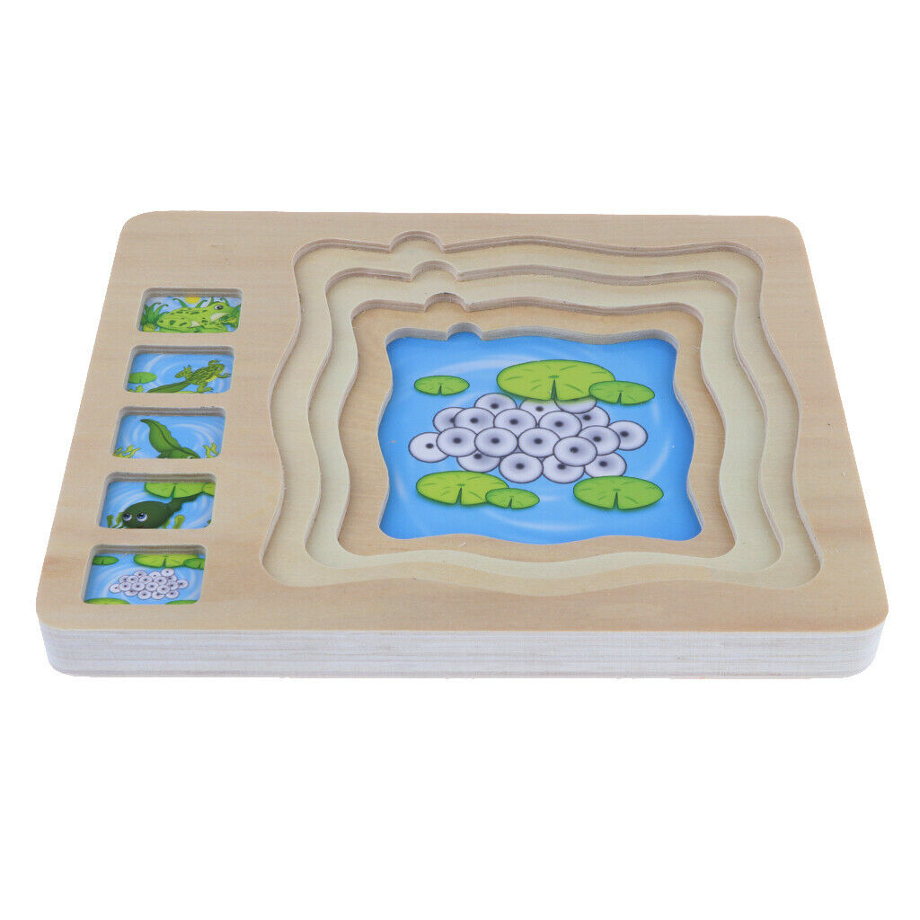 Frog Layer Puzzle, Wooden Stacking Puzzle, Children's Intelligence