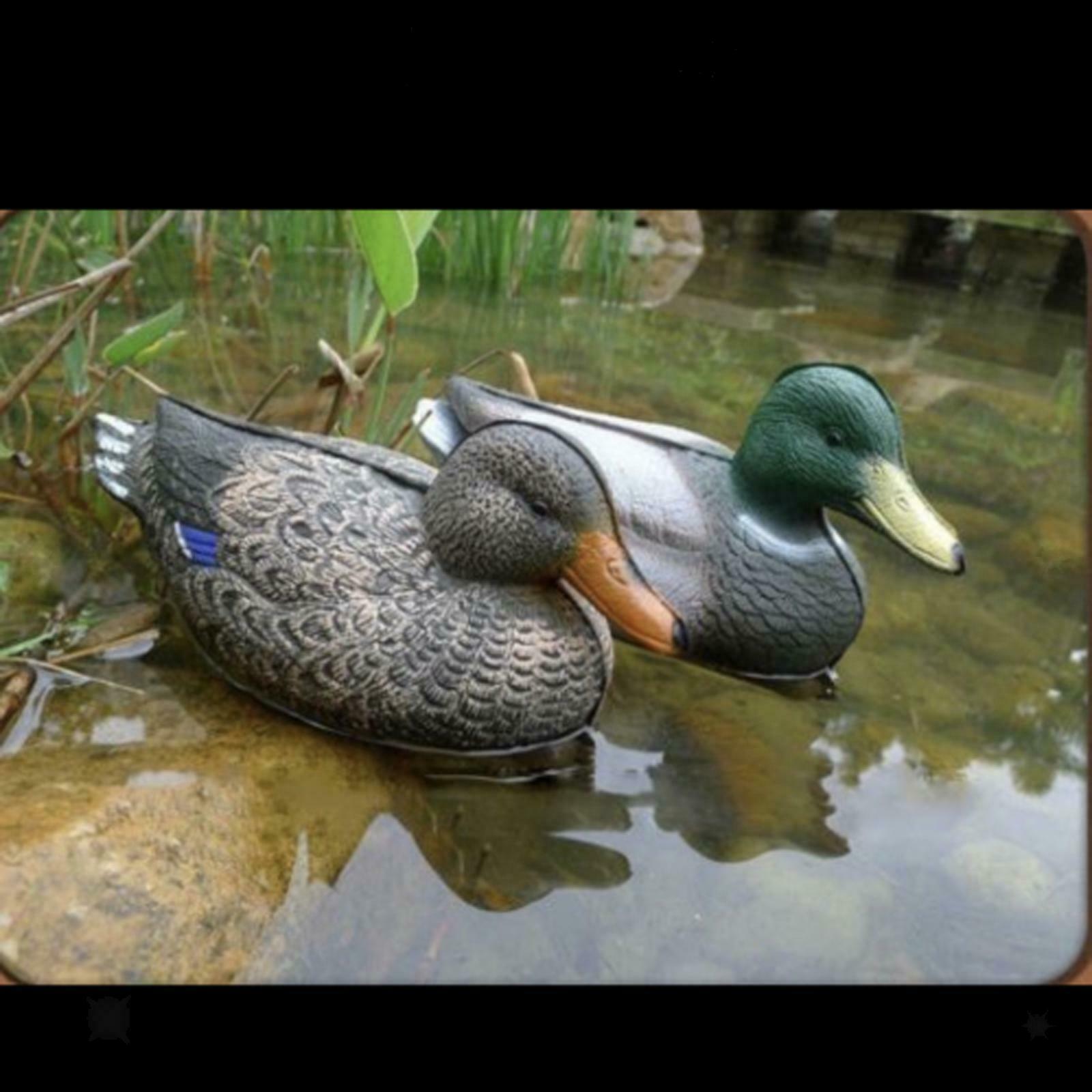 Lifelike Mallard Duck Decoys Floating Hunting Shooting Animals Pond Pool