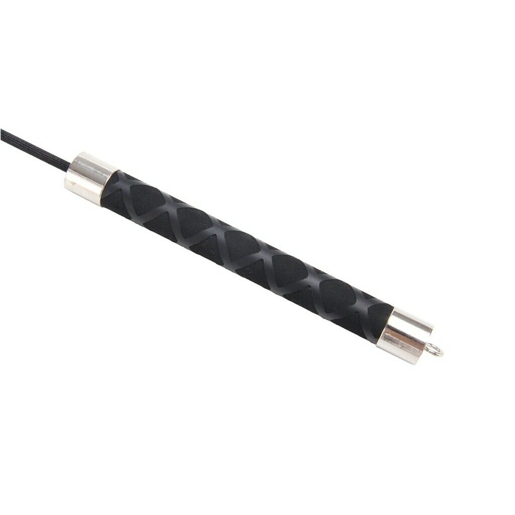 Pet Protective Equipment Training Stick