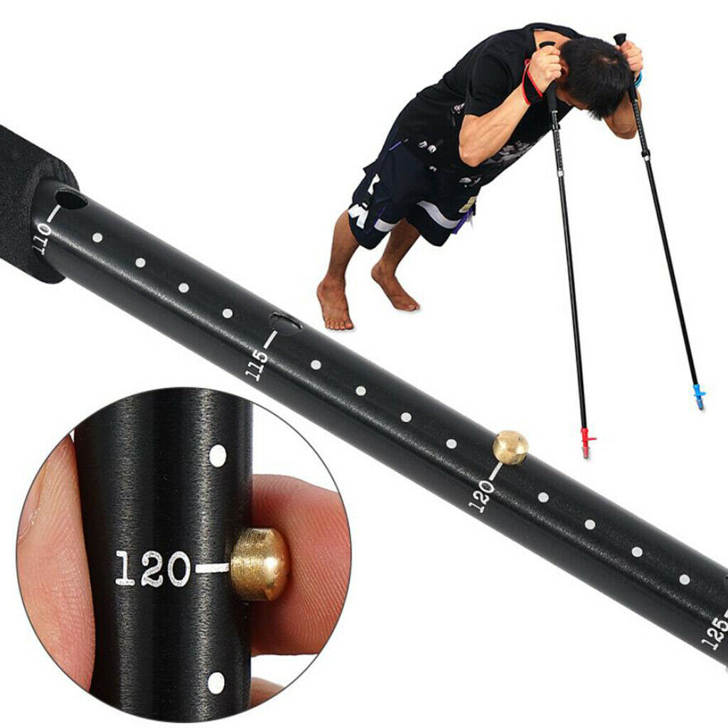 Aluminum Alloy Hiking Walking Stick Trekking Pole & Tungsten Steel Tip