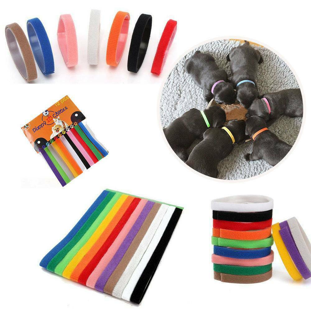 12pcs/set Identification ID Collars Bands Whelping Puppy Kitten Dog Pet Colorful