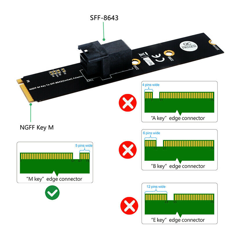 M.2 Module with Mini-SAS HD 36-Pin Connector for U.2 NVMe SSD (Upward miniSAS)