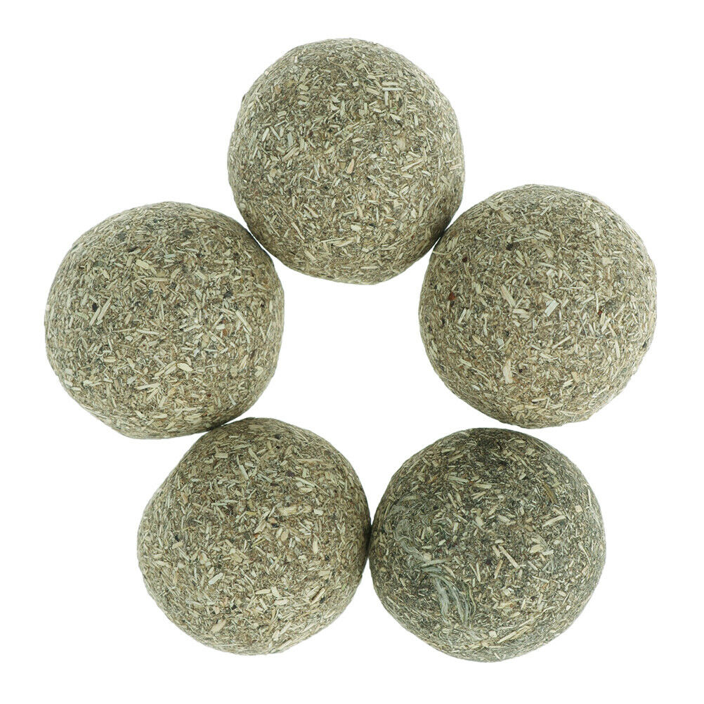 Pet Cat Natural Catnip Treat Ball Home Chasing ys Healthy Edible Treating Fx