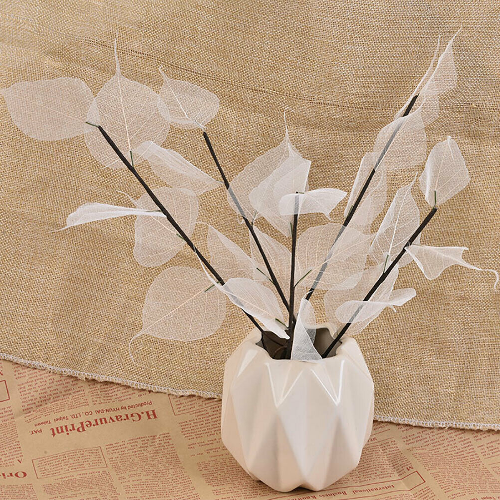 Natural white bodhi foliage and foliage Dried flowers for home decorati.l8