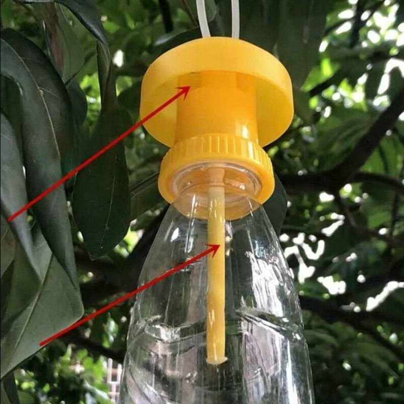 2Pcs Fruit Fly Trap Killer Plastic Trap Catcher Insect control Farm OrchardB^DF