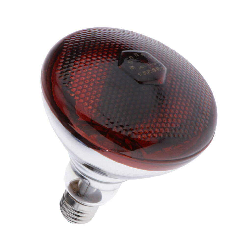 220V Basking Bulb Reptile Habitat Heat Light Bulbs Lamp 175W for Reptile Tank