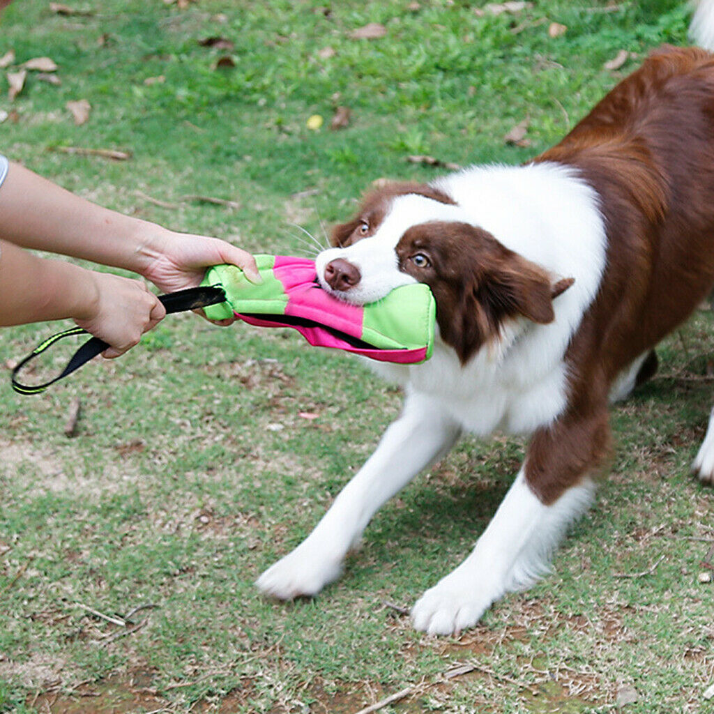 Dog Treat Training Bag Pet Interactive Playing Snack Dummy Pouch