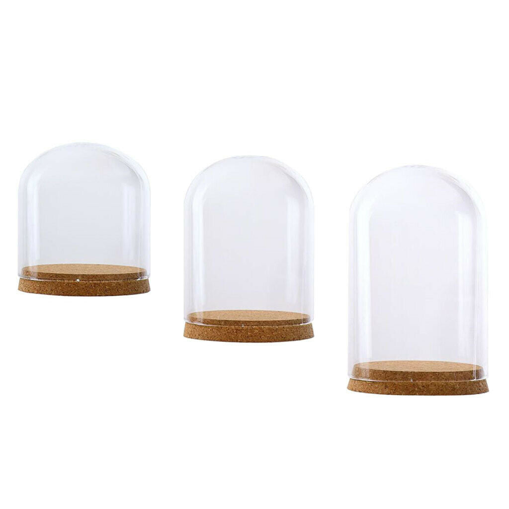Glass Cloche Dome Cover Succulent Terrariums with Wood Cork Tabletop Decor S