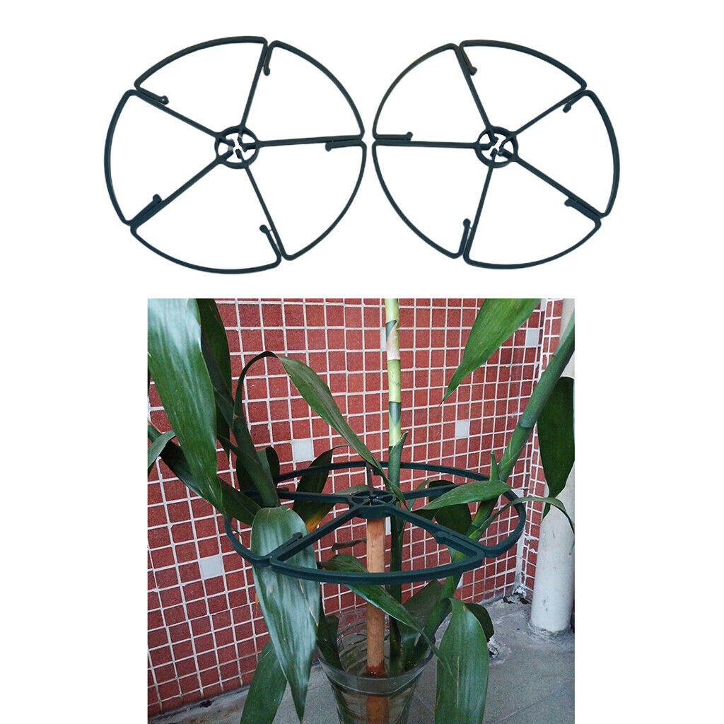 2pcs Indoor Plant Support Ring Flower Plants Care Tools for Potted Plants