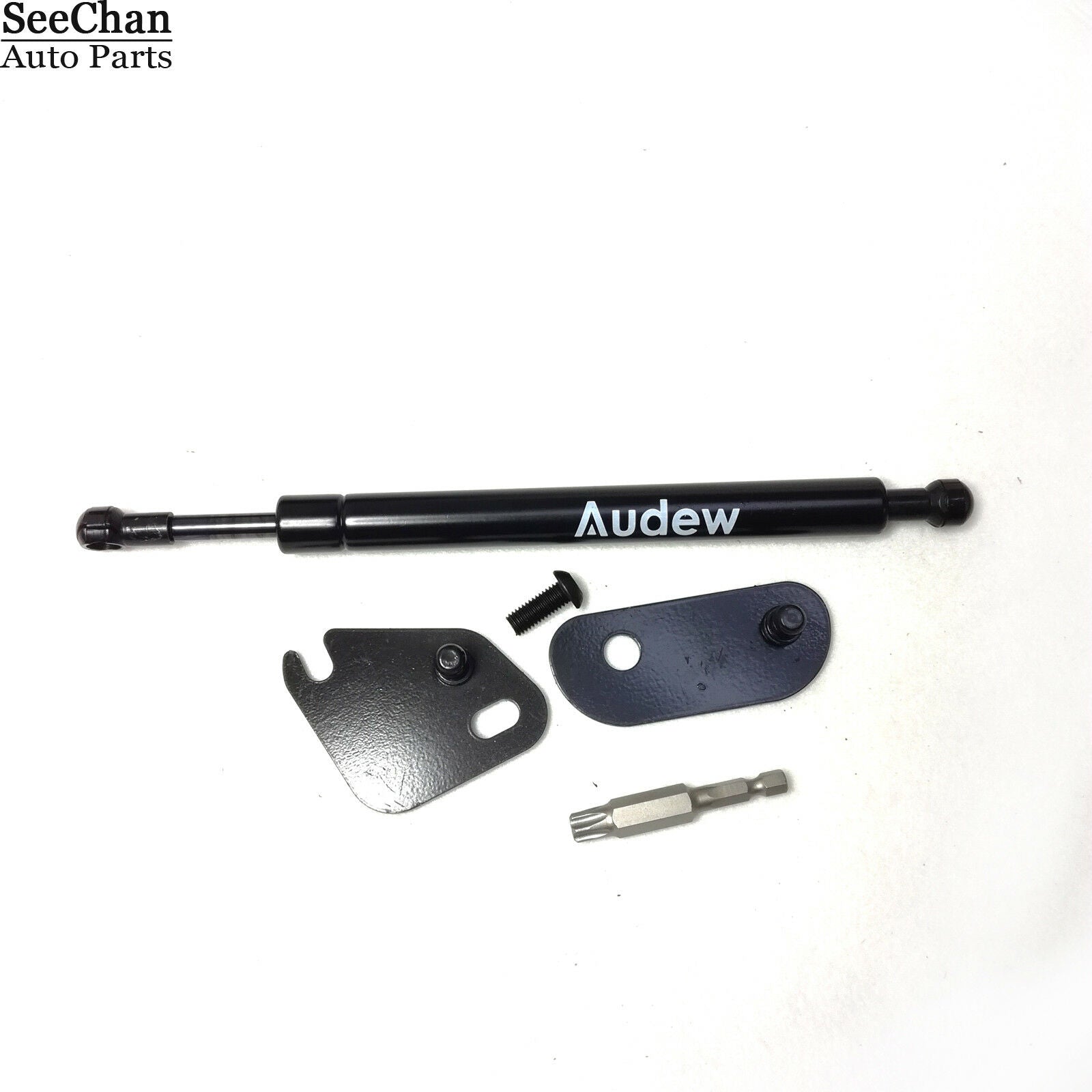 Tailgate Assist Shock Struts Fits For Ford F-150 2015- 2018 Trucks DZ43204