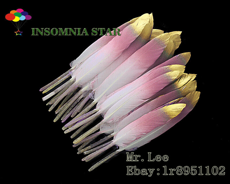 Goose Feather 4-6 inch/10-15 cm 100 Pcs Fluorescent Pink carnival Diy costume