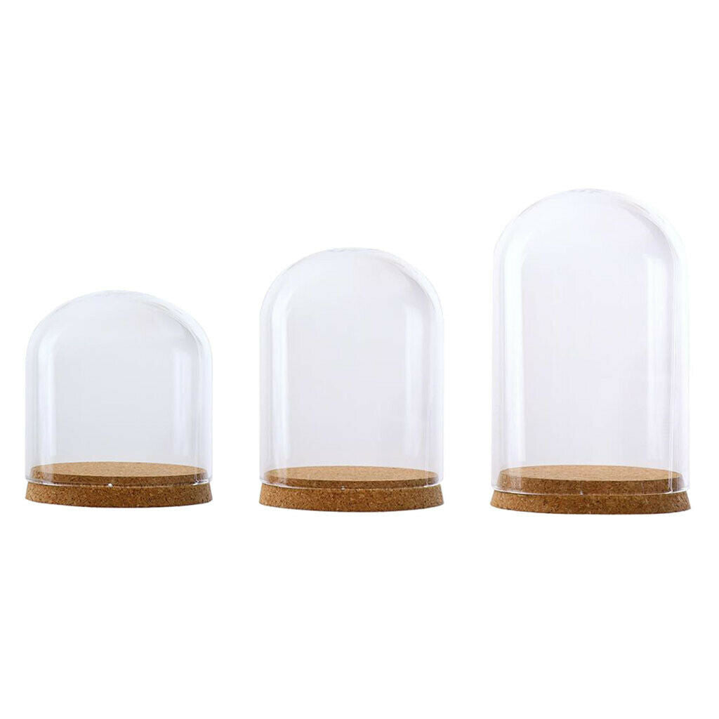 2xClear Glass Cloche Dome Cover Landscape Terrarium Container with Base S